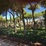 Estudio Tranquilo Praia Da Falesia